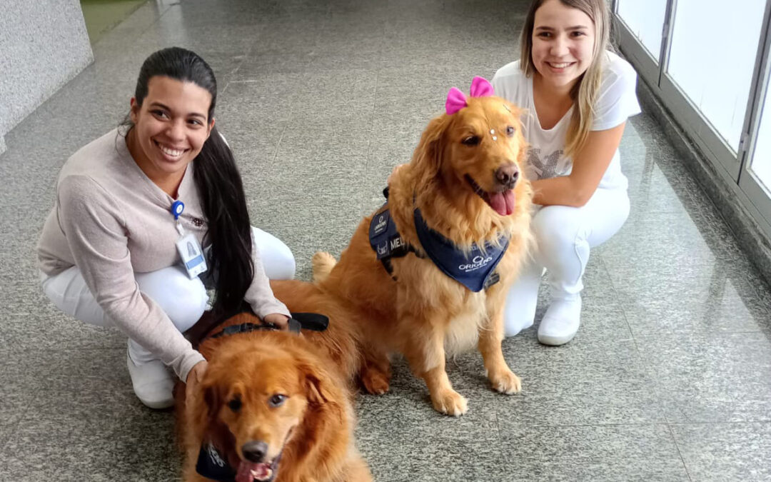Cachorros Mel e Boris Levam alegria e conforto ao Hospital Municipal de Cubatão