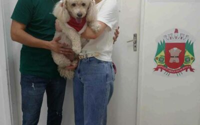 Hospital Municipal de Itu dá início a visitas guiadas de pets aos pacientes internados