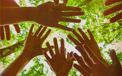 SRT Jaçanã I é habilitado pelo Ministério da Saúde e reforça avanço na atenção psicossocial