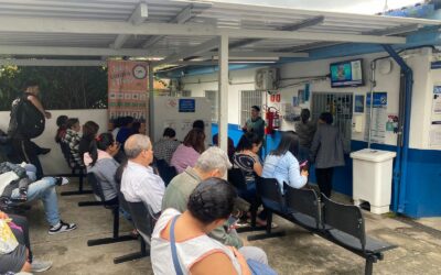 UBS Jardim Flor de Maio ensina ações de sustentabilidade