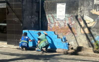 UBS Vila Albertina transforma meio ambiente em pauta viva