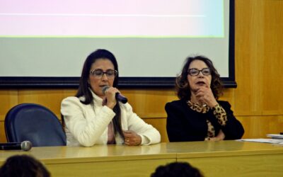 Equipes de Atenção Domiciliar discutem transição e continuidade do cuidado