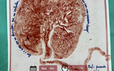 Hospital do Povo reforça humanização com a iniciativa “Árvore da Vida”