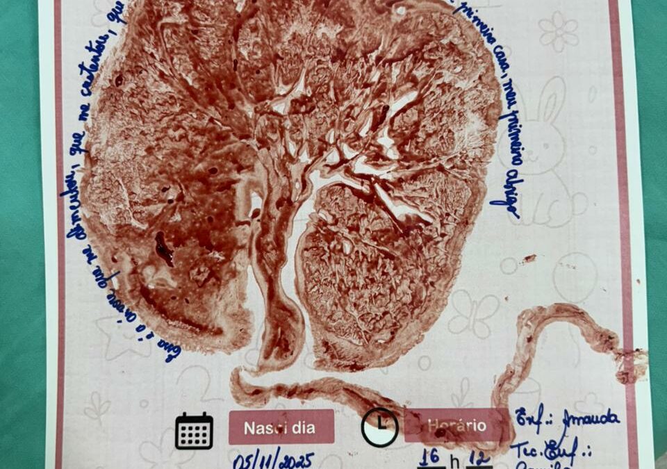 Hospital do Povo reforça humanização com a iniciativa “Árvore da Vida”