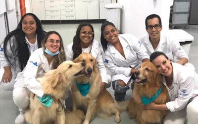 Pet Terapia: pacientes internados na UPA Zona Leste, em Santos, recebem a visita de cães terapeutas