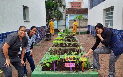 CAPS Adulto de Cubatão inaugura Cantinho do Chá e amplia ações de cuidado e bem-estar